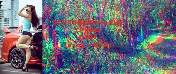 ПСИЛОЦИБИНОВЫЕ ГРИБЫ Беломорск