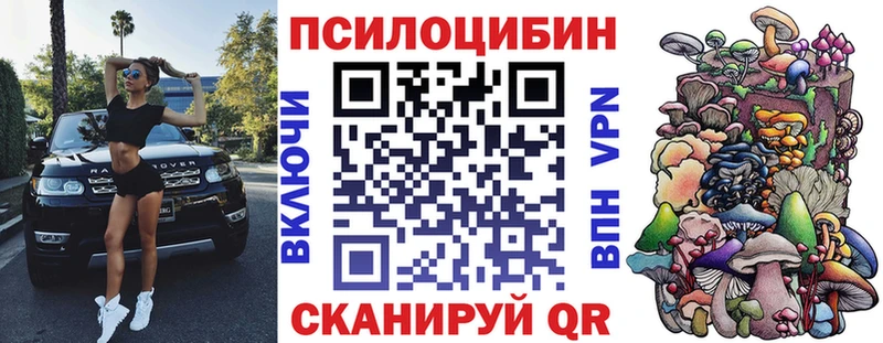 shop формула  Балашов  Галлюциногенные грибы мицелий 